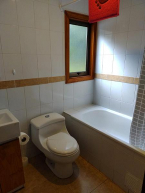 Cabañas Pucon Mahuidanche